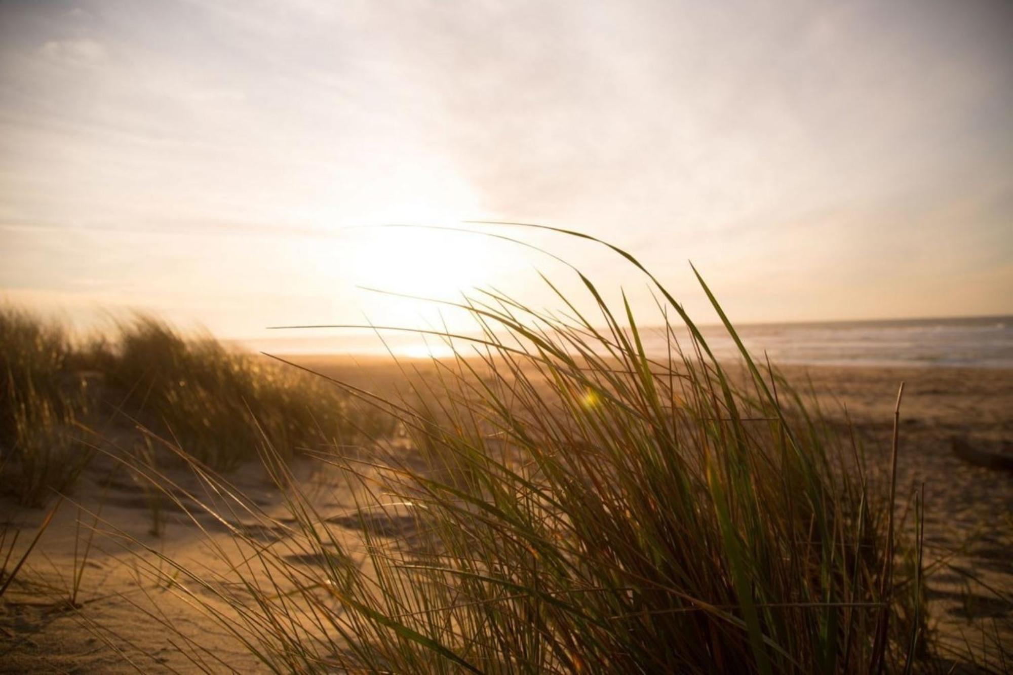 Grosse Nordseewelle Ohne Hund Norden Exterior photo